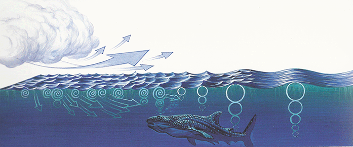 creation-des-vagues